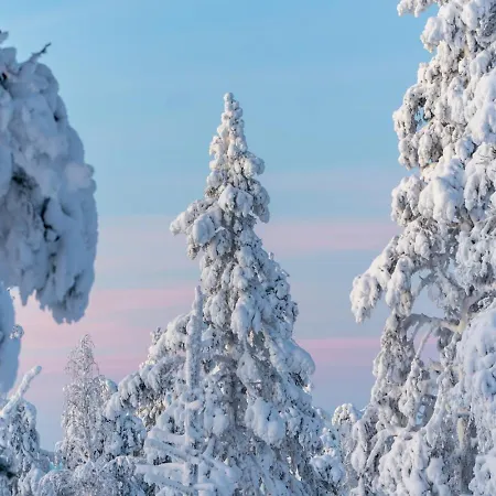 Leviraitti 5 911 By In Lapland